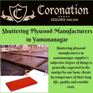 Looking for a shuttering plywood manufacturers in yamunanaga